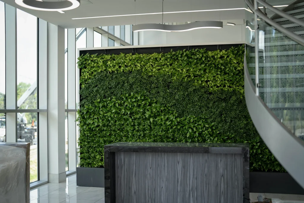 Live Plant Wall in Showroom Entrance