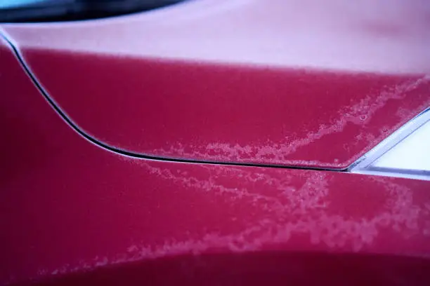 winter car maintenance, salt damage, car exterior