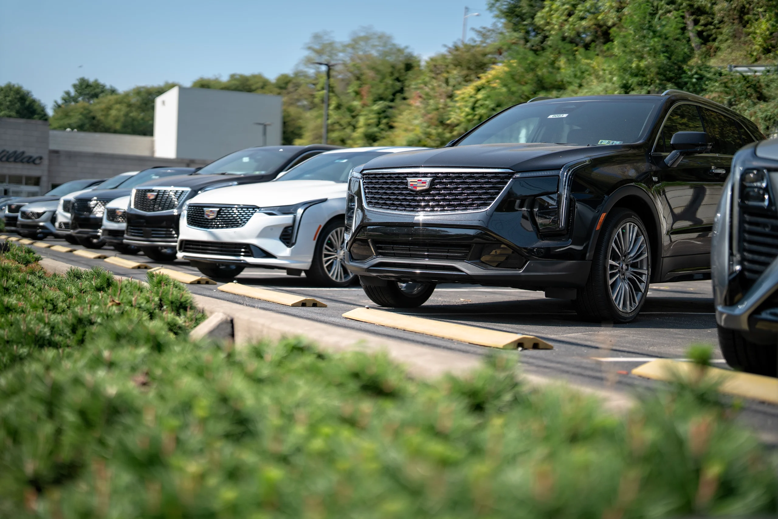 benefits of owning a cadillac, cadillac ownership